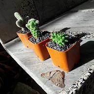 นาฬิกาของแม่กับเราไม่เท่ากัน