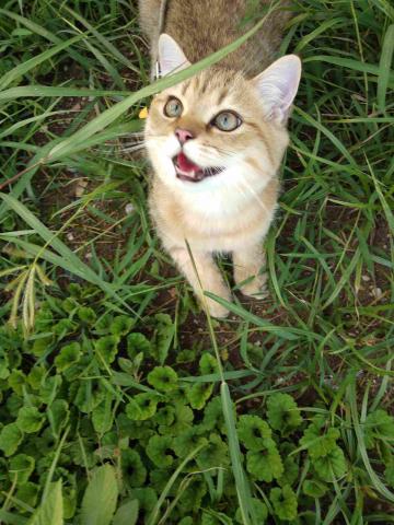 First day in this place