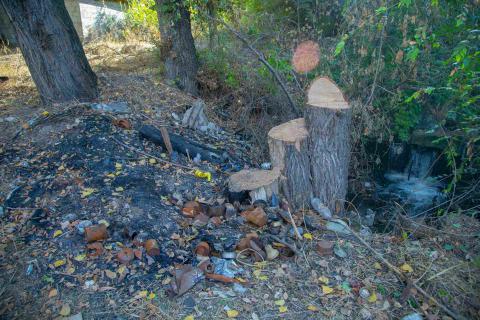 บริเวณป่าริมลำธารที่มีเศษขยะและของเหลือใช้ เช่น กระป๋องสนิม ขวดพลาสติก และกิ่งไม้แห้งกระจัดกระจายอยู่บนพื้น ใกล้ต้นไม้ใหญ่ที่ถูกตัดเหลือแต่ตอ 3 ตอ ข้างๆ มีแอ่งน้ำเล็กๆ ที่มีน้ำไหลตกลงมา โซนพื้นดินมีรอยไหม้และเถ้าถ่าน ล้อมรอบไปด้วยใบไม้แห้งและเศษวัสดุอื่นๆ บรรยากาศดูรกร้างและไม่ได้รับการดูแล