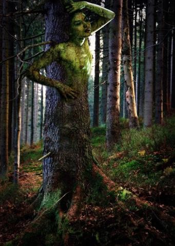 ผีนางตะเคียน ผีสาวในป่าดงดิบ