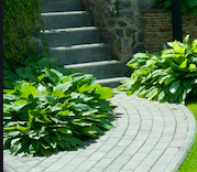 สวน (A garden )