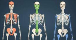 ผีและความฝันของผม