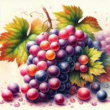 องุ่น...ชะลอวัย