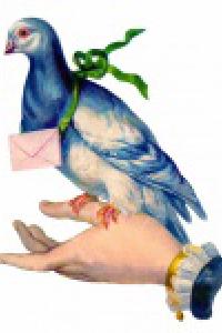 นกพิราบสีน้ำเงินเกาะอยู่บนมือของผู้หญิง มือสวมแหวนและข้อมือมีขอบลูกไม้สีขาว นกพิราบมีริบบิ้นสีเขียวผูกที่คอและมีจดหมายซองสีชมพูแขวนอยู่ เป็นภาพวาดแนววินเทจให้อารมณ์คลาสสิก