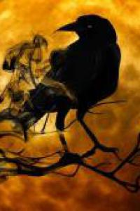 อีกา ตัวสีดำ กำลังเกาะอยู่บนกิ่งไม้แห้ง ฉากหลังเป็นพระจันทร์เต็มดวงสีส้มอมเหลืองสดใส ท้องฟ้าด้านหลังพระจันทร์ดูมืดมนและมีความลึกลับ รอบๆ กิ่งไม้เหมือนมีควันหรือหมอกสีดำบางๆ ลอยอยู่ เพิ่มบรรยากาศน่ากลัวและลึกลับให้กับภาพนี้